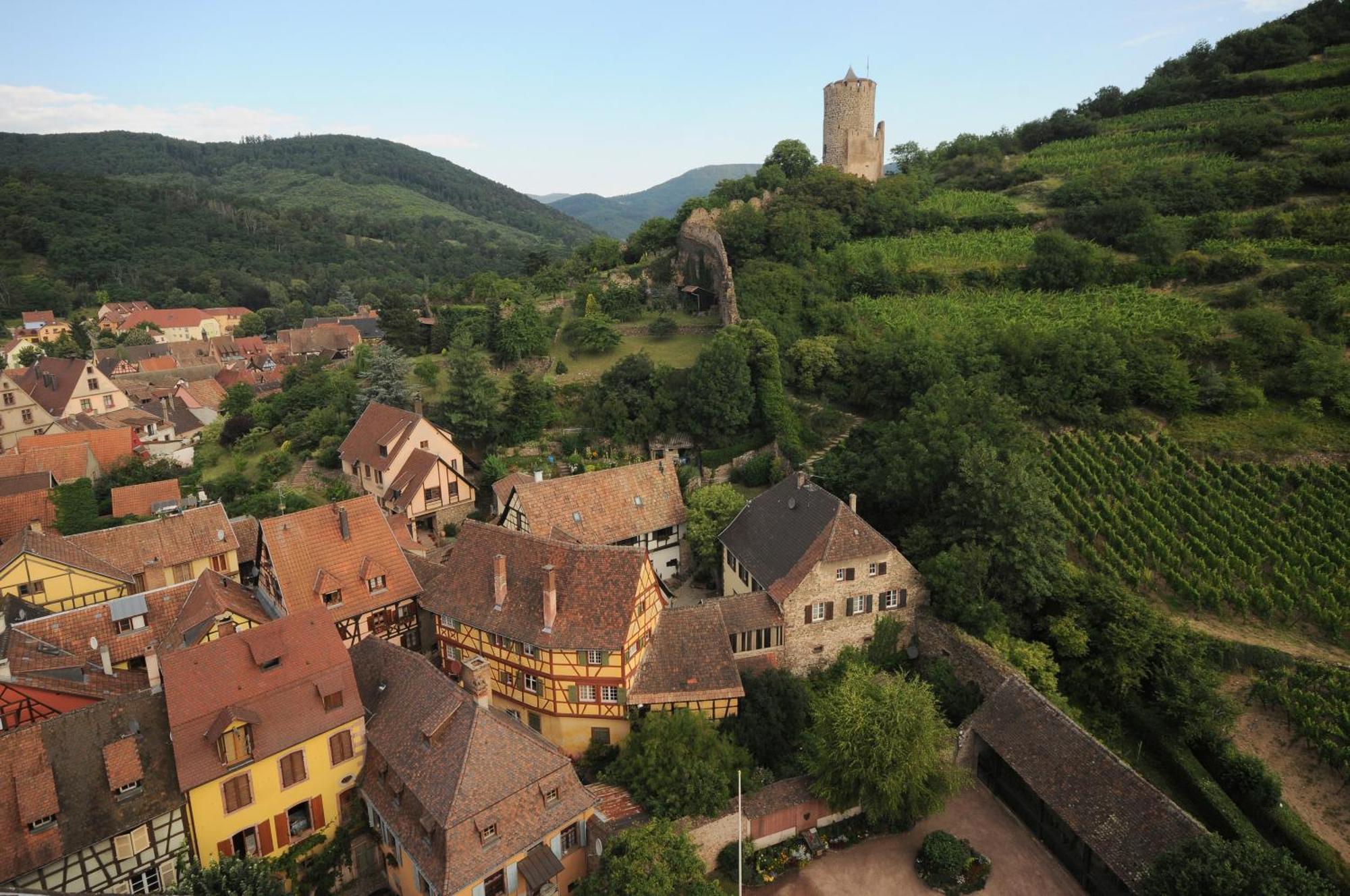 Logis Hotel Restaurant De La Poste Et Spa De Montagne 勒伯恩霍姆 外观 照片